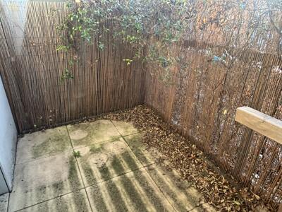 Picture 5